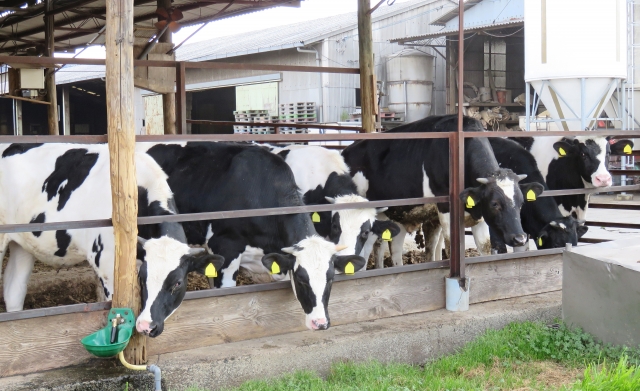 畜産クラスター 補助金額 計算例